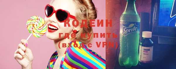 МДПВ Краснослободск